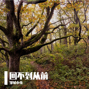 回不去的从前