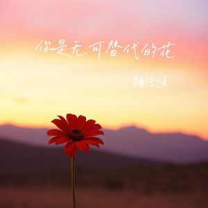 你是无可替代的花(伴奏)