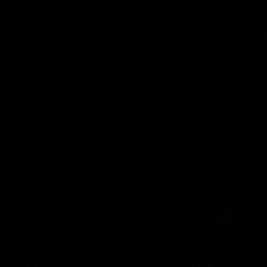 MISSED CALLS MISSED TEXTS