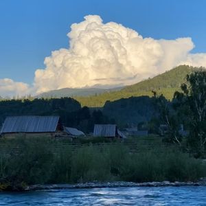 当爱已成往事的悲伤