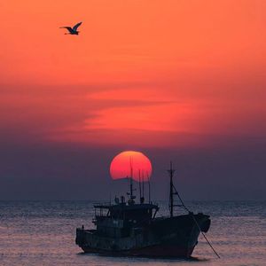 今夜晚风依旧温柔 伴奏