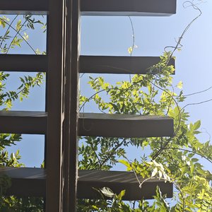 你的名字 是我听过最短的情诗