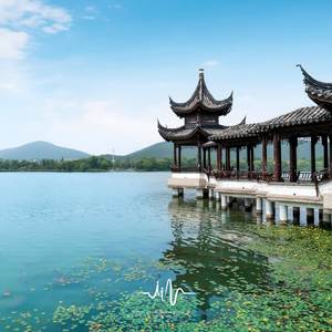 鸟叫 (净化心灵古琴曲)