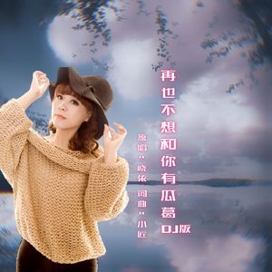 再也不想和你有瓜葛DJ 伴奏