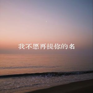 我不愿再提你的名
