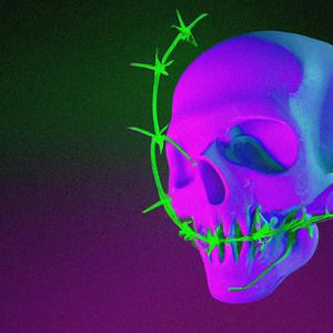 Sange Pe Zapada (feat. Brasov)