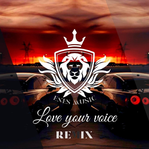 Love Your Voice (Remix)