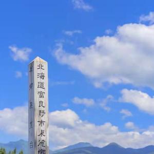 耳蜗 (4)