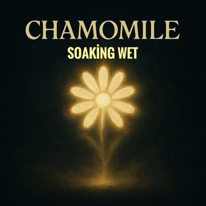 Sırılsıklam (Soakin wet Soundtrack)