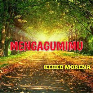 Mengagumimu