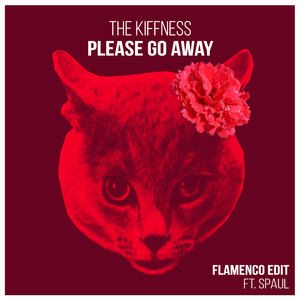 Please Go Away (Flamenco Edit)