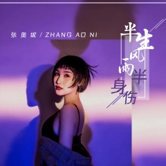 半生风雨半身伤 (DJ版)