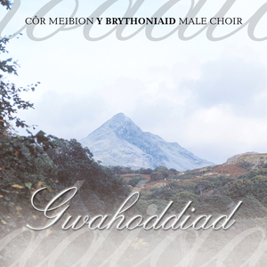 You'll Never Walk Alone