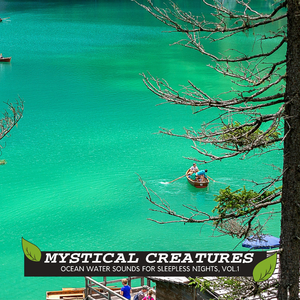 Thunderstorm in Shimla