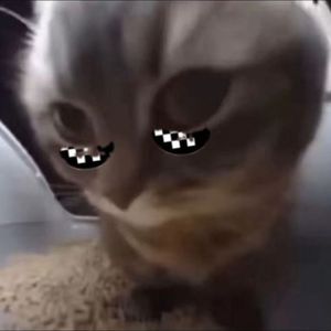 Chip CHIp Chapa Chapa（Hardstyle Bootleg）