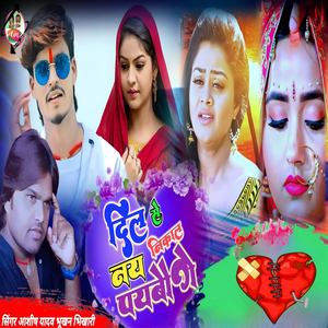 Dil Se Nay Nikal Paybo Ge