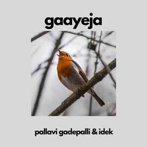 Gaayeja (feat. Idek)