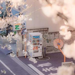 春三月（四人合唱版）