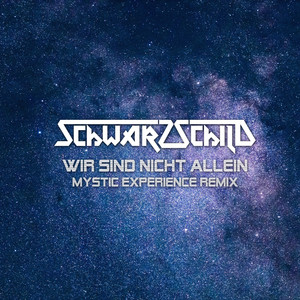 Wir sind nicht allein (Mystic Experience Extended Remix)