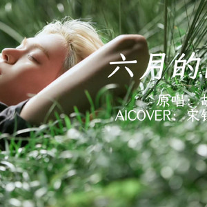 AI 宋银硕 - 六月的雨