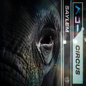 CHEERS FOR THE KILLER