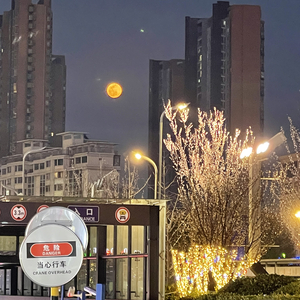 我活成了你爱过的那个样子