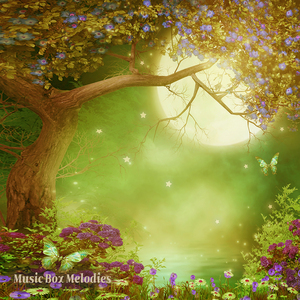 휴식의 숲 (밤풀벌레소리)