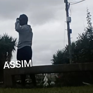ASSIM