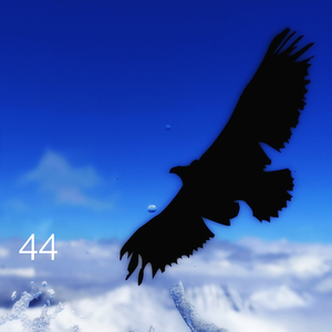 44 (The Art Of Moving)