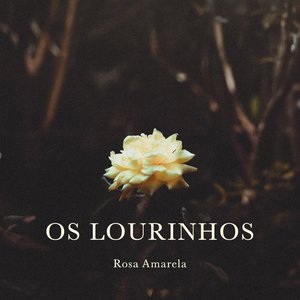 Carneirinho Carneirao