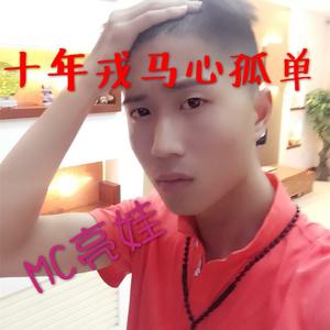 十年戎马心孤单