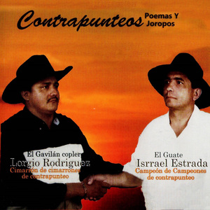 Entre Casanare y Vichada