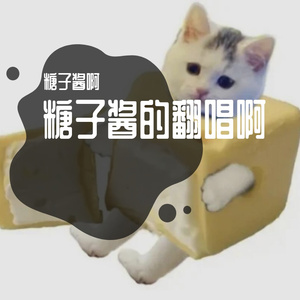 我也想被哥哥钓（cover李哈哈）