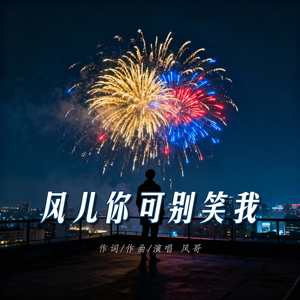 风儿你可别笑我