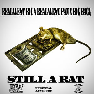 Still A Rat