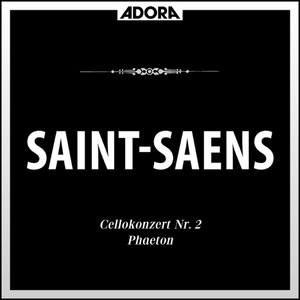 Cellokonzert No. 2 in D Minor, Op. 119: I. Allegro moderato e maestoso