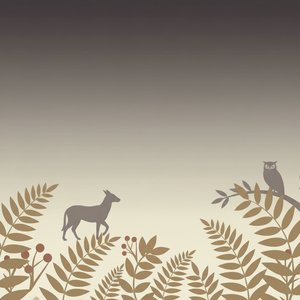 Hamnets_Forgotten_Life