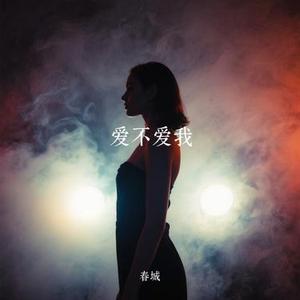 爱难逃情难了   (Remix)