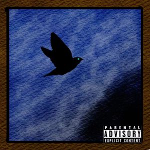 蝉鸣织就的沉思录_1