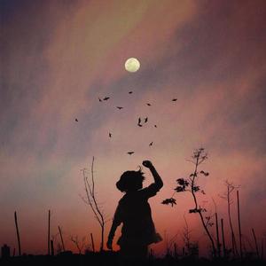 寒山寺——myjoy