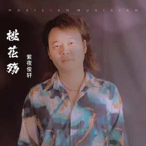 桃花殇 完整版 伴奏