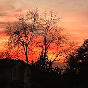 Alone With You (Tonight)