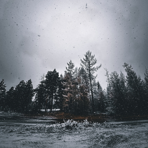 Winter Goodbye (Sped Up)