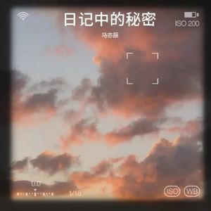 日记中的秘密