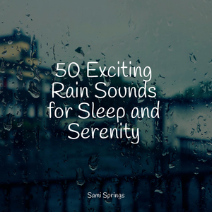 Forest, Birds, River Close