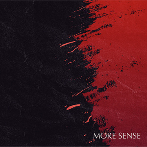 More Sense
