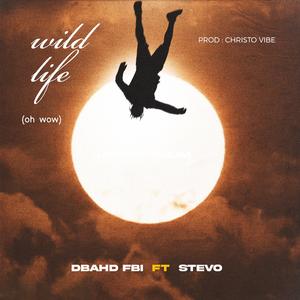 Wild life(oh wow) (feat. Ste vo)