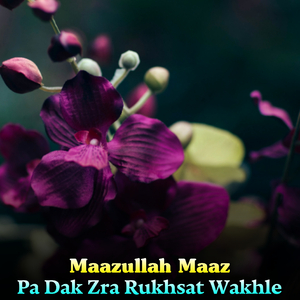 Da Madani Janana Zar Sham