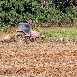 白鹭飞过田野_水映林山人