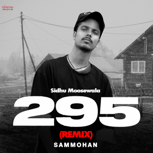 295 (Remix)